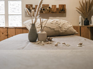 L'Institut Gujan Mestras 2